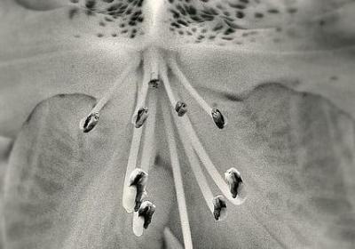 结婚后祝福语(必备50句)