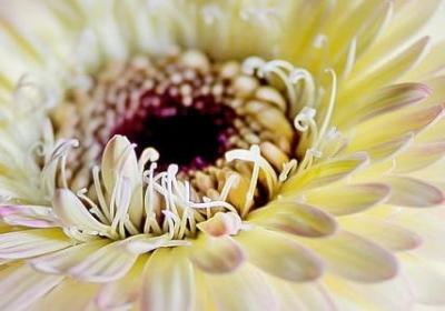 订婚祝福语父母怎么说(精选40句)