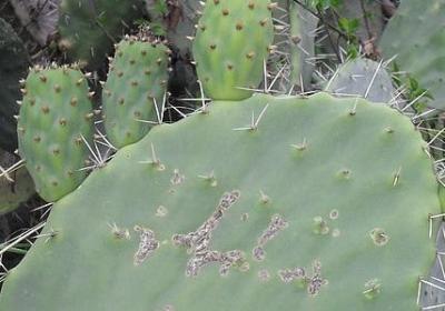 老爸八十大寿祝福语(50句)