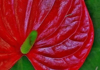 考上大学的祝福语(汇总60句)