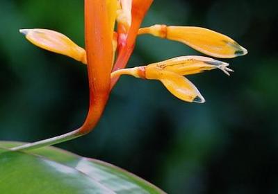 老爸生日简短的祝福语(共40句)