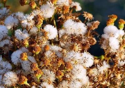 给新郎祝福语(合集60句)