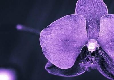 给数学老师的祝福语(共36句)