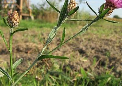 跑马拉松祝福语(40句)