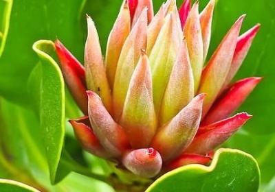 运动会祝福语30字(汇总30句)