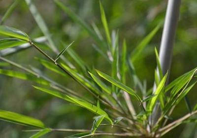 花灯祝福语(必备50句)