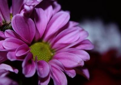 舅舅给外甥结婚祝福语(精选70句)