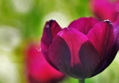 老店新开祝福语(必备70句)