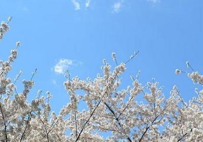 老板生日快乐祝福语(实用49句)