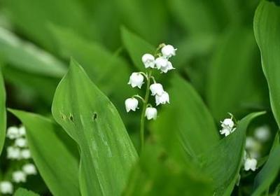 股市祝福语(合集70句)