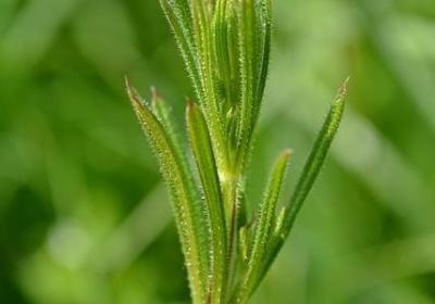 结婚了祝福语(精选60句)