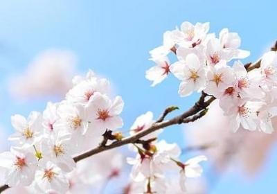 老年人生日祝福语(共50句)