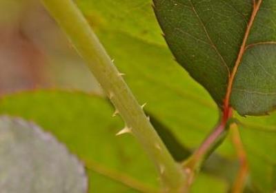 考上高中的祝福语(推荐50句)