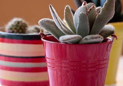 装修开工大吉的祝福语(通用40句)