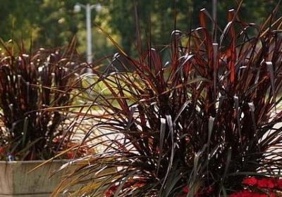 给家人的祝福语(精选50句)