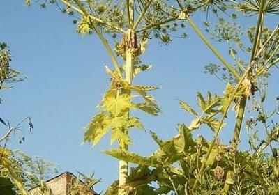 考试祝福语简短俏皮(必备50句)