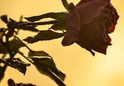 蛋糕卡片祝福语(推荐50句)