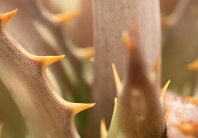 考上研究生的祝福语(必备50句)