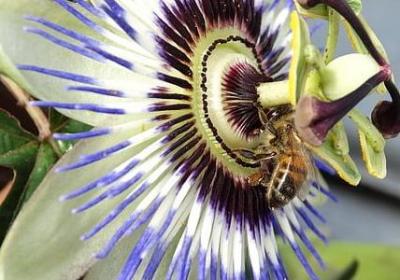 英文生日祝福语 简短(实用80句)