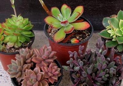 跳舞比赛祝福语(共50句)