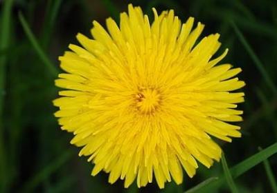 自己买新车的祝福语(合集50句)