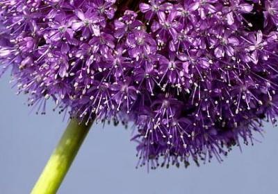 蛋糕生日祝福语(实用39句)