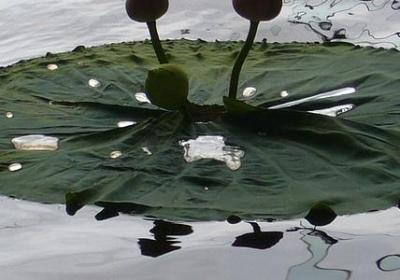 考驾照祝福语(推荐60句)