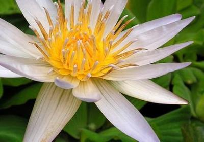 过生日说什么祝福语(精选70句)