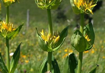 辛苦的祝福语(汇总40句)