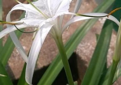 赚钱的祝福语(优选60句)