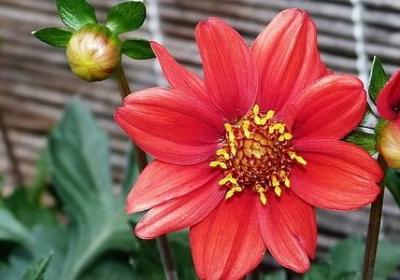 蒙古简短祝福语(精选49句)