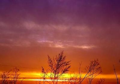 虎年春节祝福语(汇总70句)