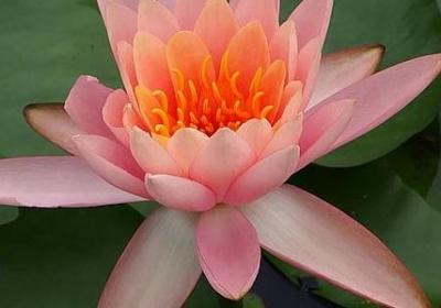 贺卡祝福语朋友(通用49句)