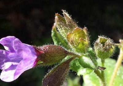 谢谢的祝福语(必备69句)