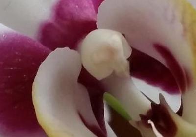 花店祝福语(通用50句)