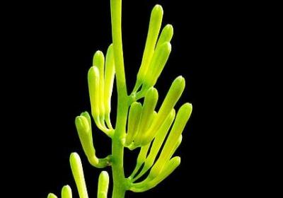 简短的结婚祝福语(合集40句)