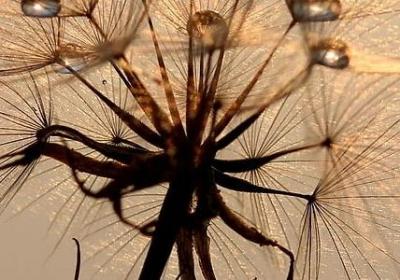 表白祝福语简短(必备50句)