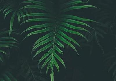 象牙婚祝福语(汇总40句)