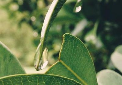 自己孩子满月祝福语(必备52句)