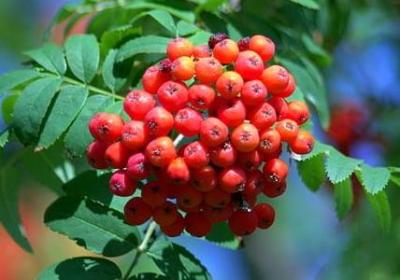 考学祝福语大全简语(汇总70句)