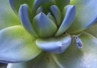 蛋糕祝福语创意6个字(优选89句)