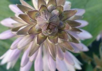 考试祝福语简短4字句(必备59句)