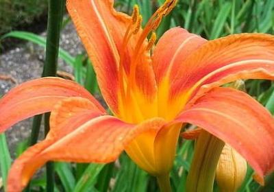 英语书信结尾祝福语(推荐50句)