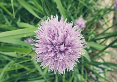 英语作文结尾祝福语(合集80句)