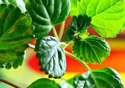 结婚红包祝福语怎么写(热门40句)