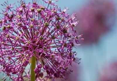 贺卡祝福语老师(热门40句)