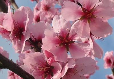 花篮开业祝福语(优选60句)