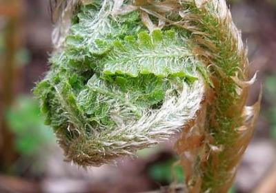 过新房子的祝福语(优选63句)