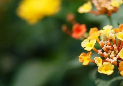 职工生日祝福语(推荐40句)