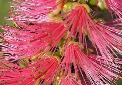 给朋友的高考祝福语(共80句)